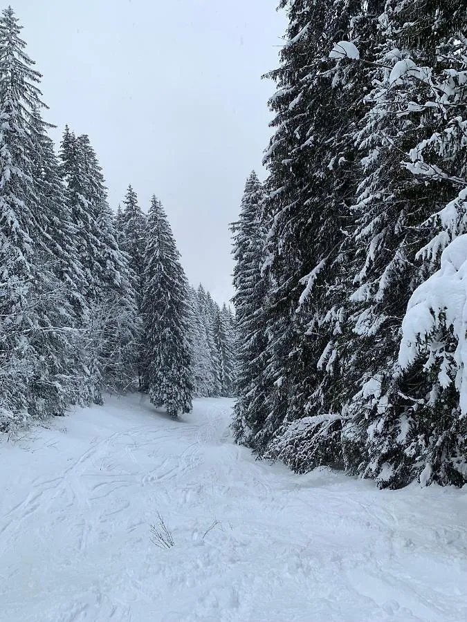 La Jolie Bergere Βίλα Morzine Σαλέ