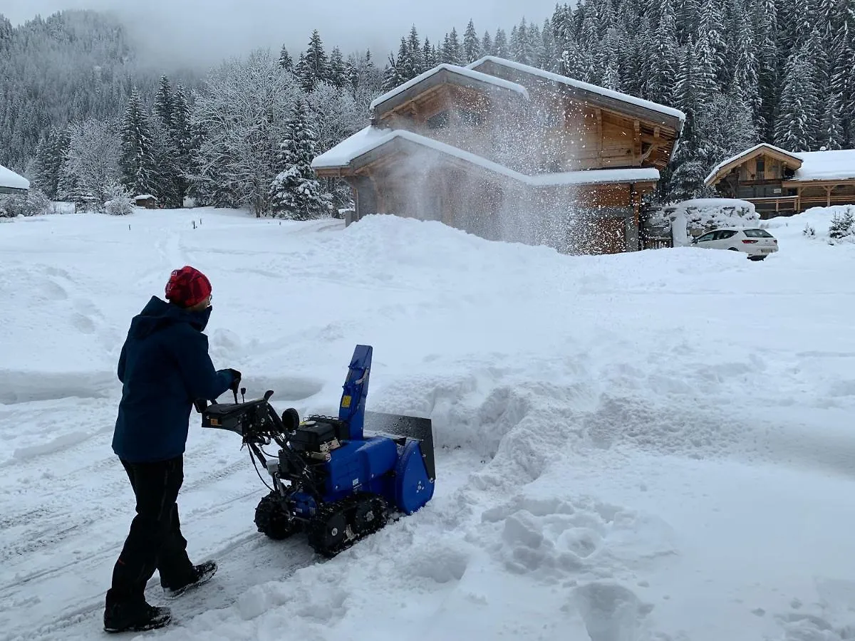 La Jolie Bergere Villa Morzine Francia